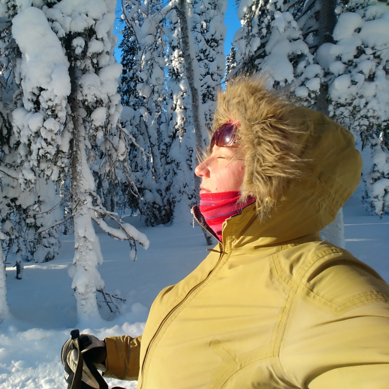 Aurinkoenergiaa lumikenkäreissulta.